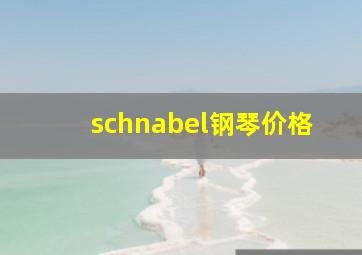 schnabel钢琴价格