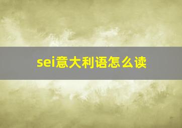 sei意大利语怎么读