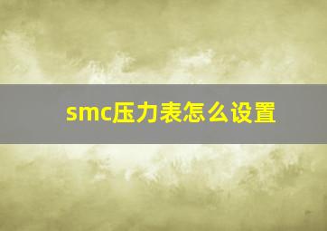 smc压力表怎么设置