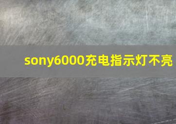 sony6000充电指示灯不亮