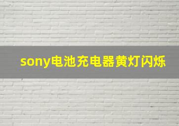 sony电池充电器黄灯闪烁