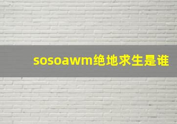 sosoawm绝地求生是谁