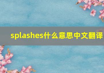 splashes什么意思中文翻译