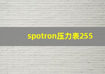 spotron压力表255