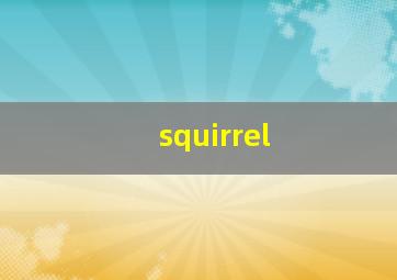 squirrel