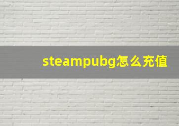 steampubg怎么充值