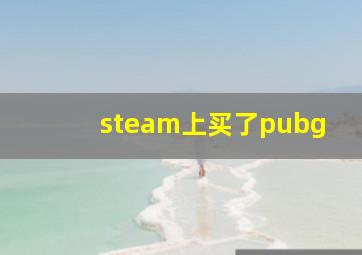 steam上买了pubg