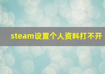 steam设置个人资料打不开