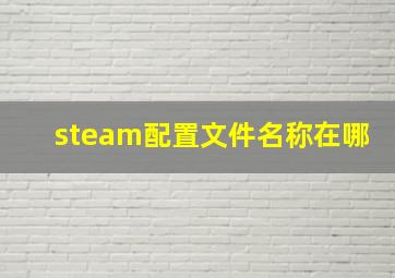 steam配置文件名称在哪