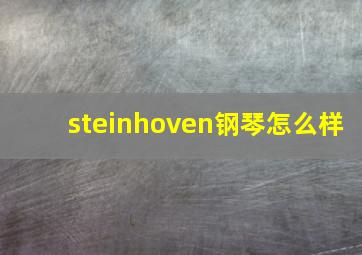 steinhoven钢琴怎么样