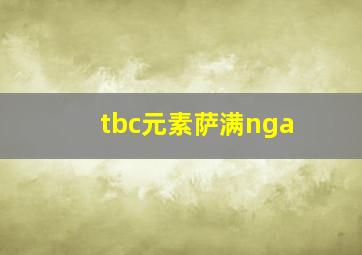 tbc元素萨满nga