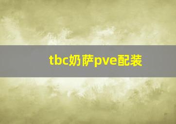 tbc奶萨pve配装