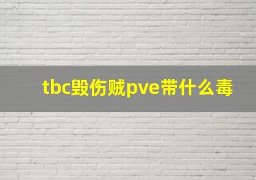 tbc毁伤贼pve带什么毒