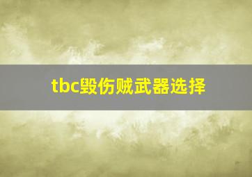 tbc毁伤贼武器选择