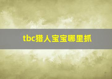 tbc猎人宝宝哪里抓