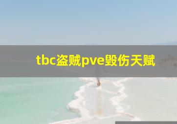 tbc盗贼pve毁伤天赋