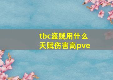 tbc盗贼用什么天赋伤害高pve