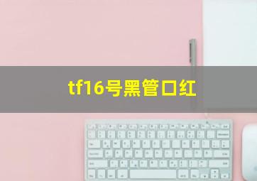 tf16号黑管口红