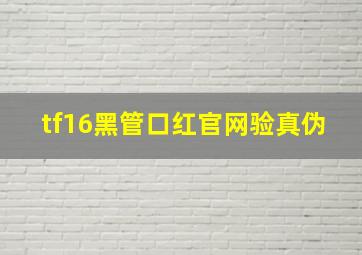 tf16黑管口红官网验真伪