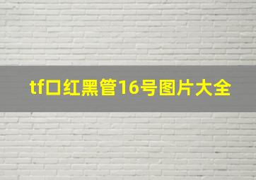 tf口红黑管16号图片大全