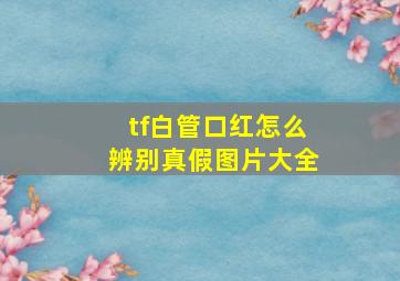 tf白管口红怎么辨别真假图片大全