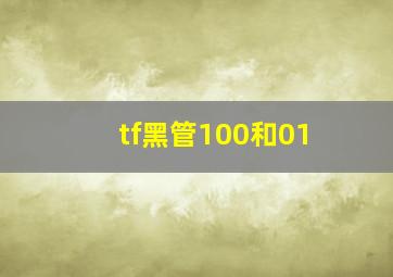 tf黑管100和01