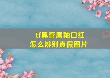 tf黑管唇釉口红怎么辨别真假图片