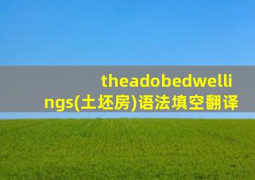 theadobedwellings(土坯房)语法填空翻译