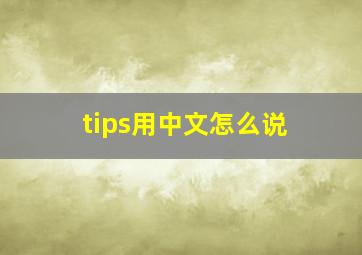 tips用中文怎么说