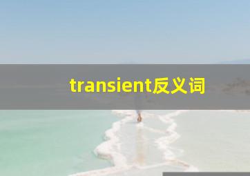 transient反义词