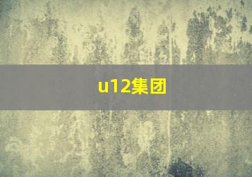 u12集团