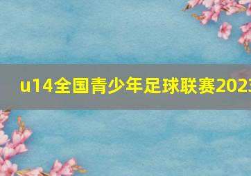 u14全国青少年足球联赛2023