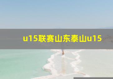 u15联赛山东泰山u15