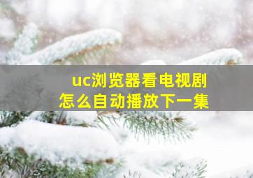 uc浏览器看电视剧怎么自动播放下一集