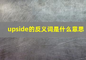 upside的反义词是什么意思