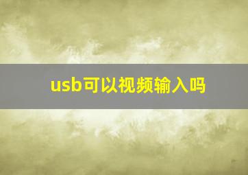 usb可以视频输入吗