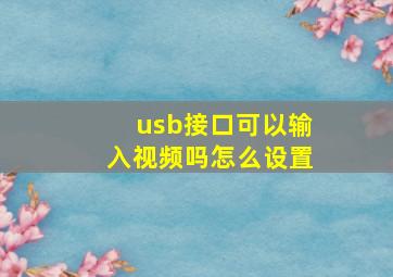 usb接口可以输入视频吗怎么设置