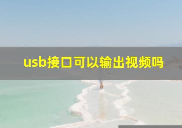 usb接口可以输出视频吗