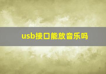 usb接口能放音乐吗