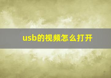 usb的视频怎么打开