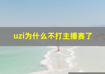 uzi为什么不打主播赛了