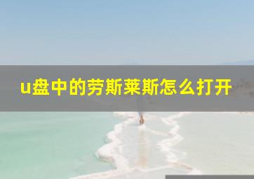 u盘中的劳斯莱斯怎么打开