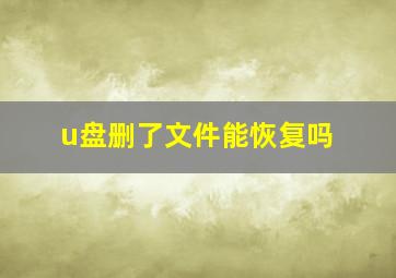 u盘删了文件能恢复吗