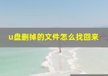 u盘删掉的文件怎么找回来