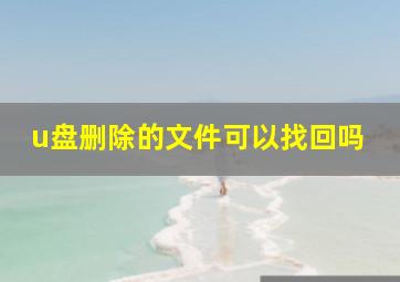 u盘删除的文件可以找回吗