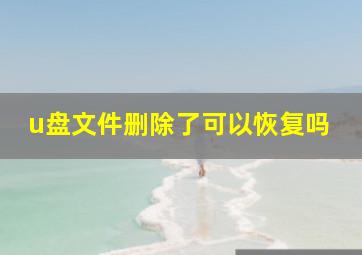 u盘文件删除了可以恢复吗