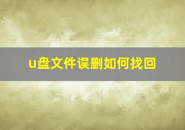 u盘文件误删如何找回