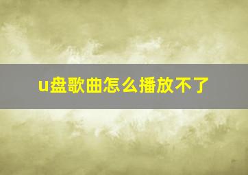 u盘歌曲怎么播放不了