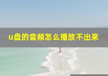 u盘的音频怎么播放不出来