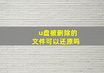 u盘被删除的文件可以还原吗